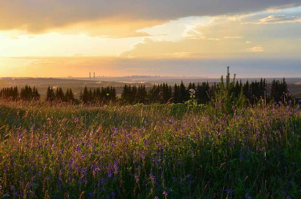Photograph by Надежда Колеватова
