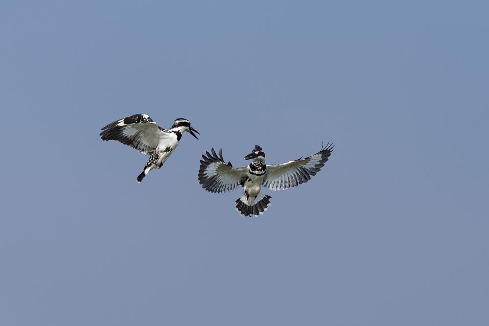 Photograph by DEVARAJASETTY S KIKKERI