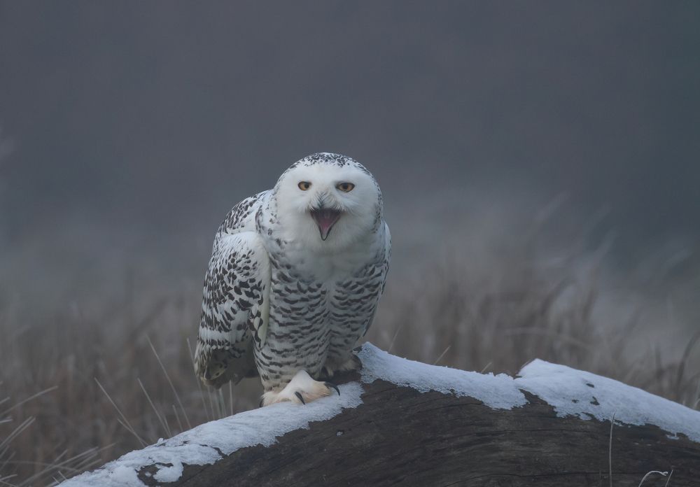 Photograph by MARIA KULA