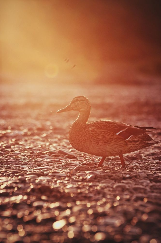 Photograph by Фистина Мария