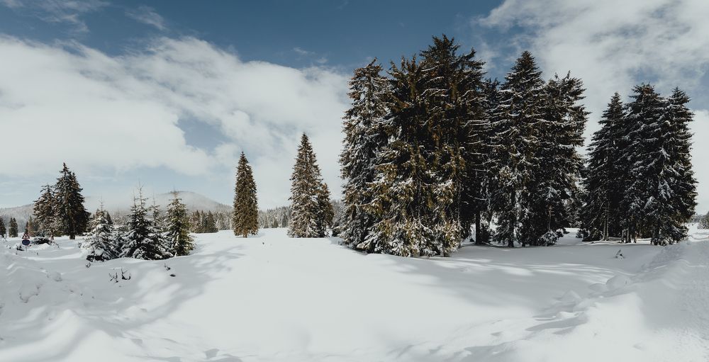 Photograph by Ionut Jarca