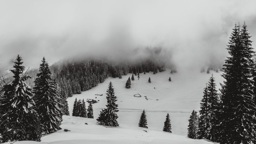 Photograph by Ionut Jarca