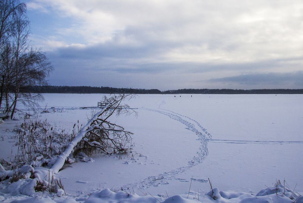 Застывшая гладь