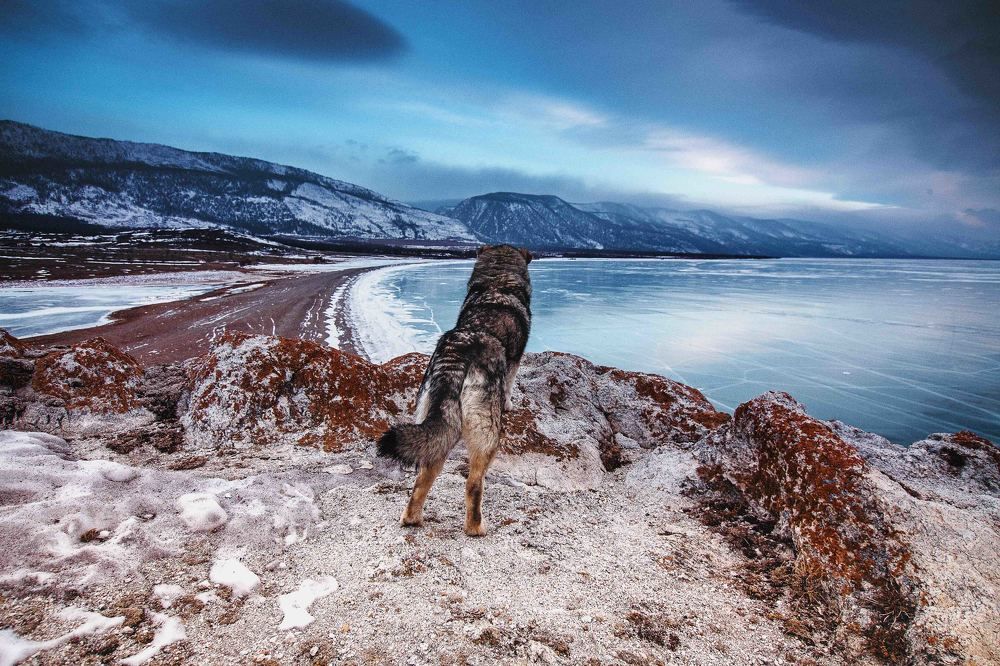 Байкал зовет.Baikal is calling.