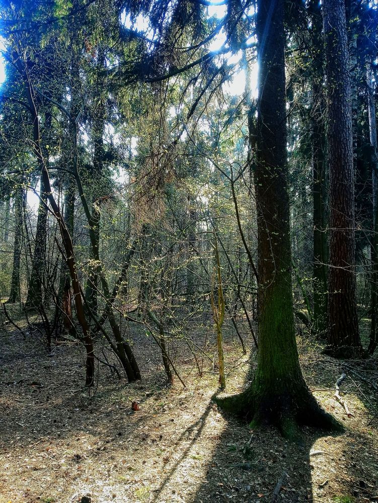 Photograph by Татьяна Зобова