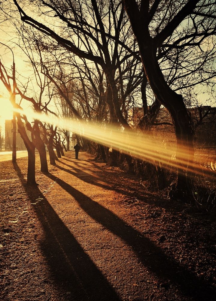 Photograph by westeros