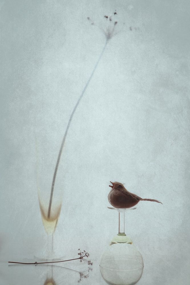 Photograph by Анастасия Чепурнова