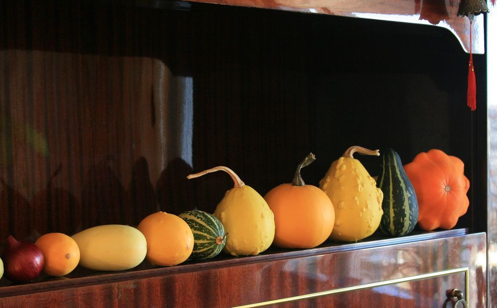 Тыквенные овощи.