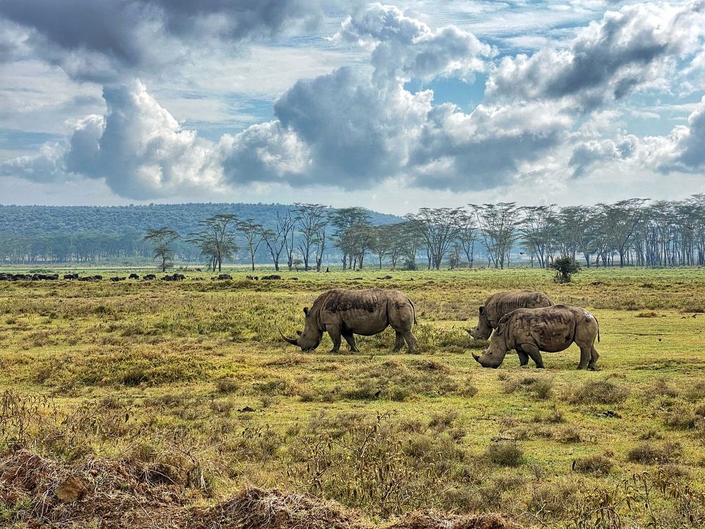 Photograph by Ирина Худзинская