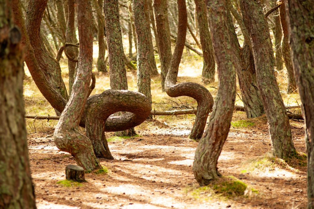 Photograph by Andrey Budylin