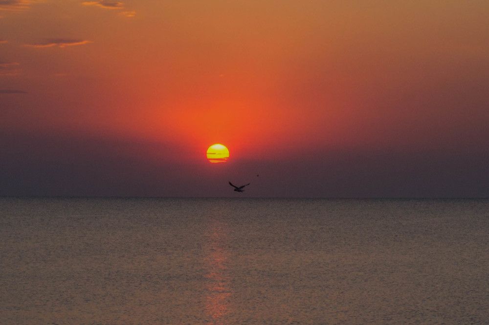 Photograph by Ирина Нагорная