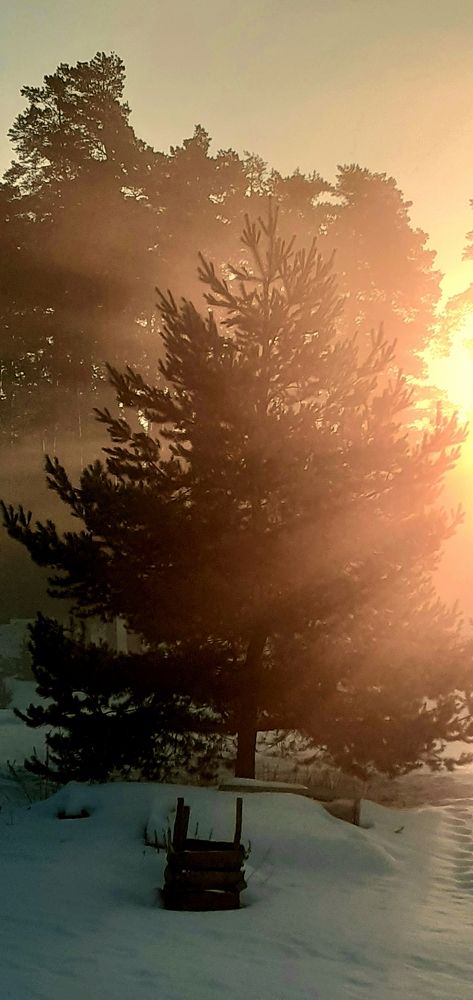 Photograph by Алсу Гиматова