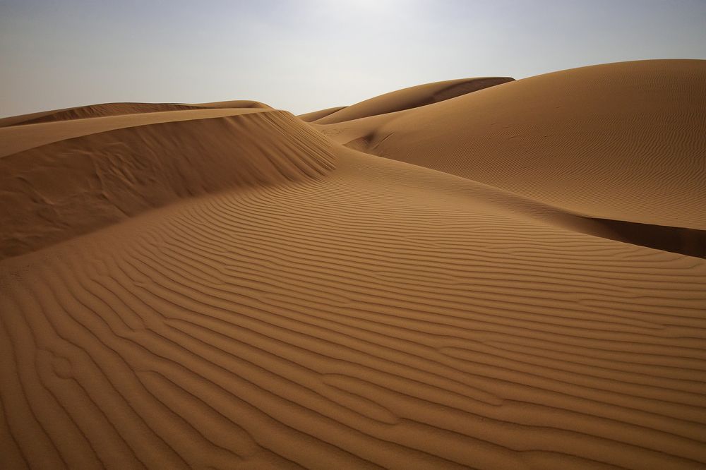 Photograph by Shanavas K T