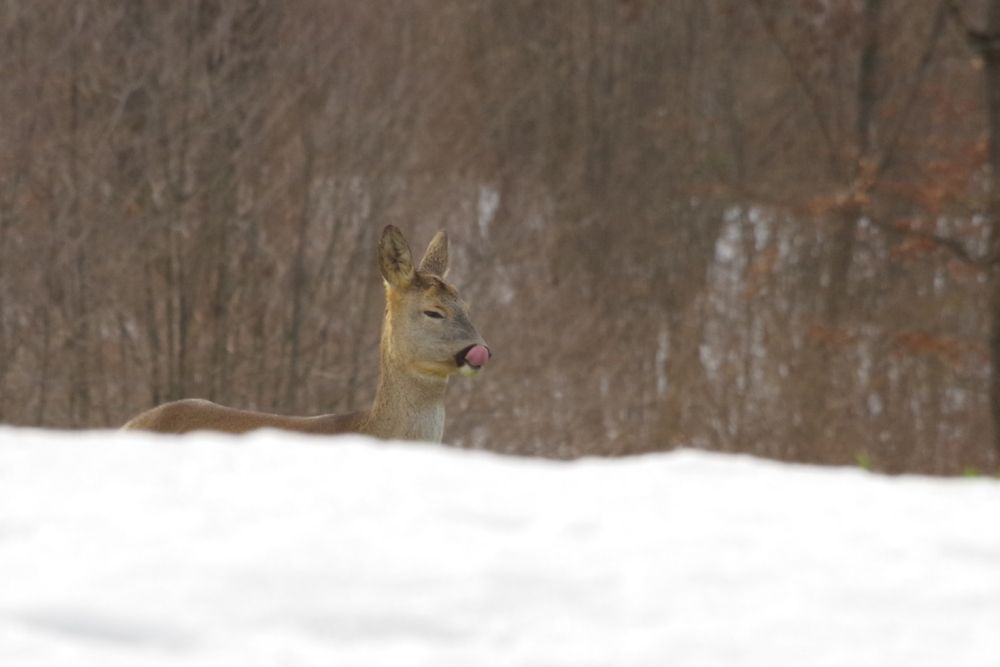Photograph by Maurizio