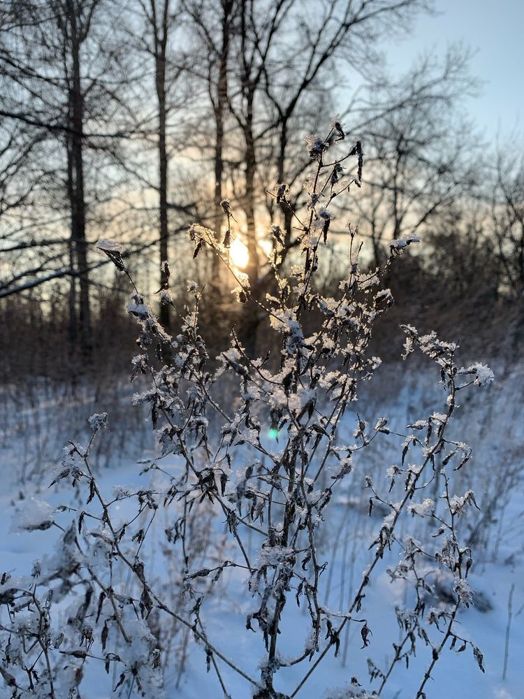 Photograph by Олег Угланов