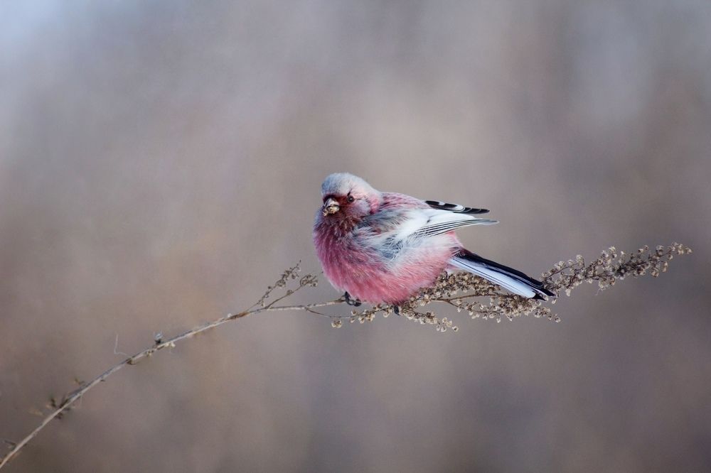 Photograph by Александр Канцур