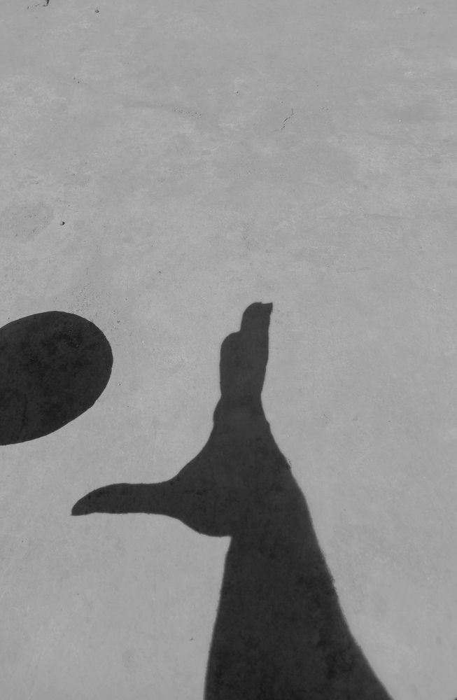 Photograph by Junard Pateño