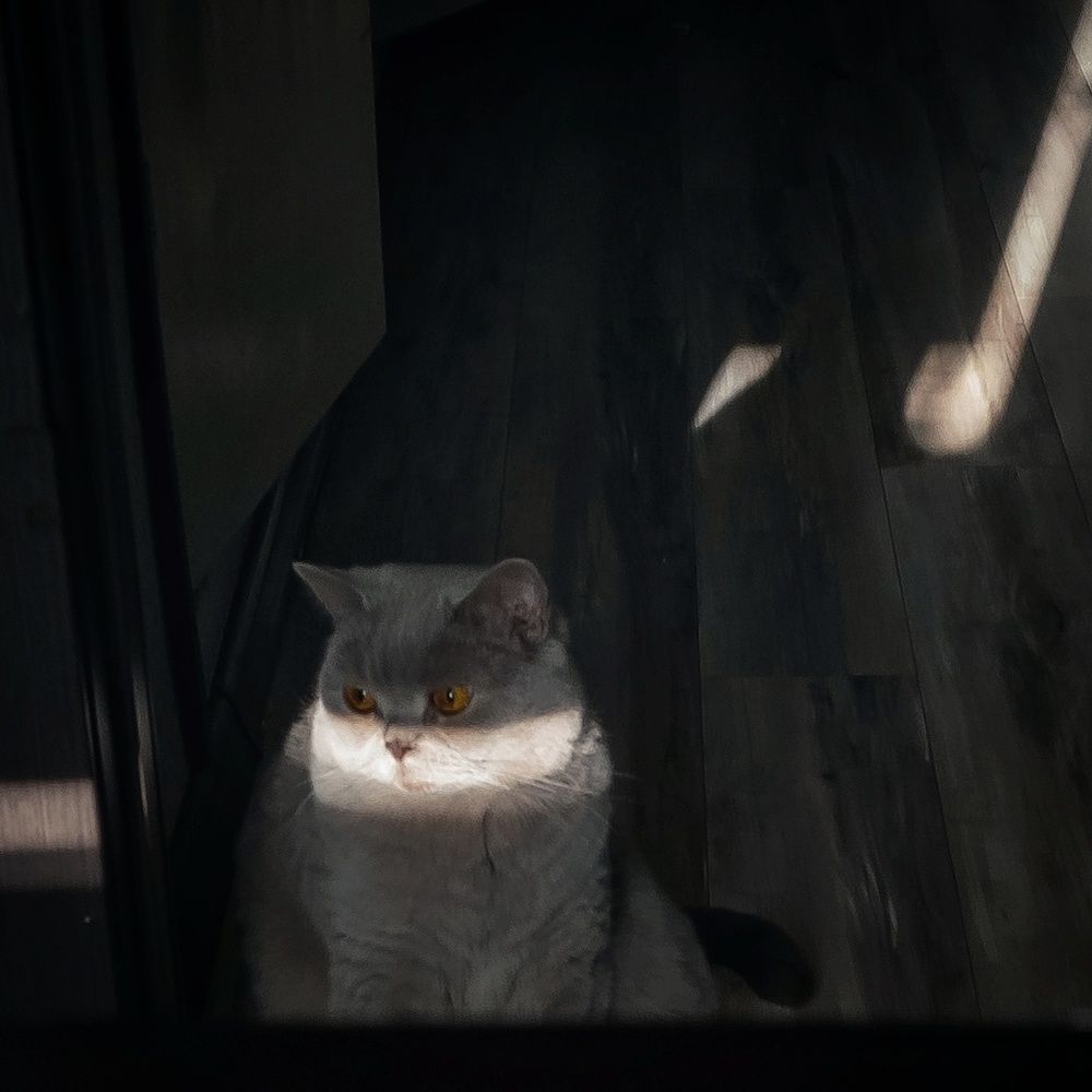 Photograph by Виктория Дьякова