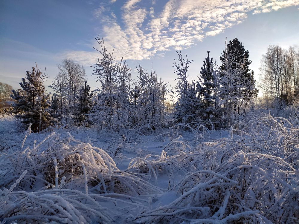 Photograph by Татьяна Кравченко