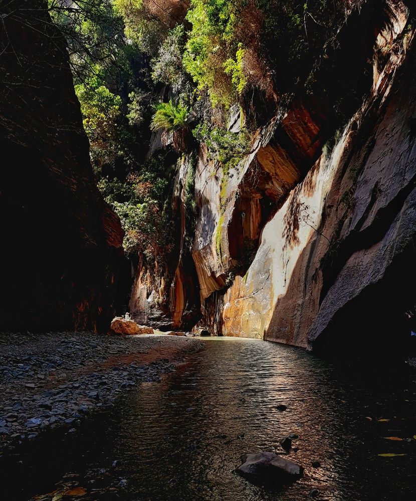 Photograph by Abbas ALhassoni