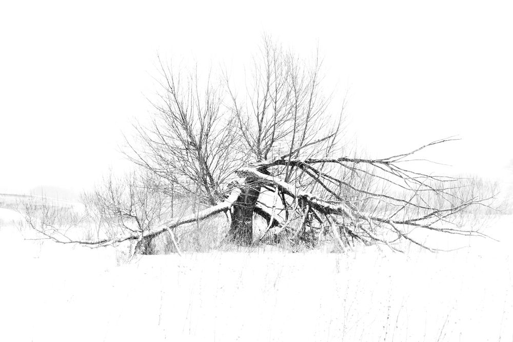 Photograph by Alexey Korolyov