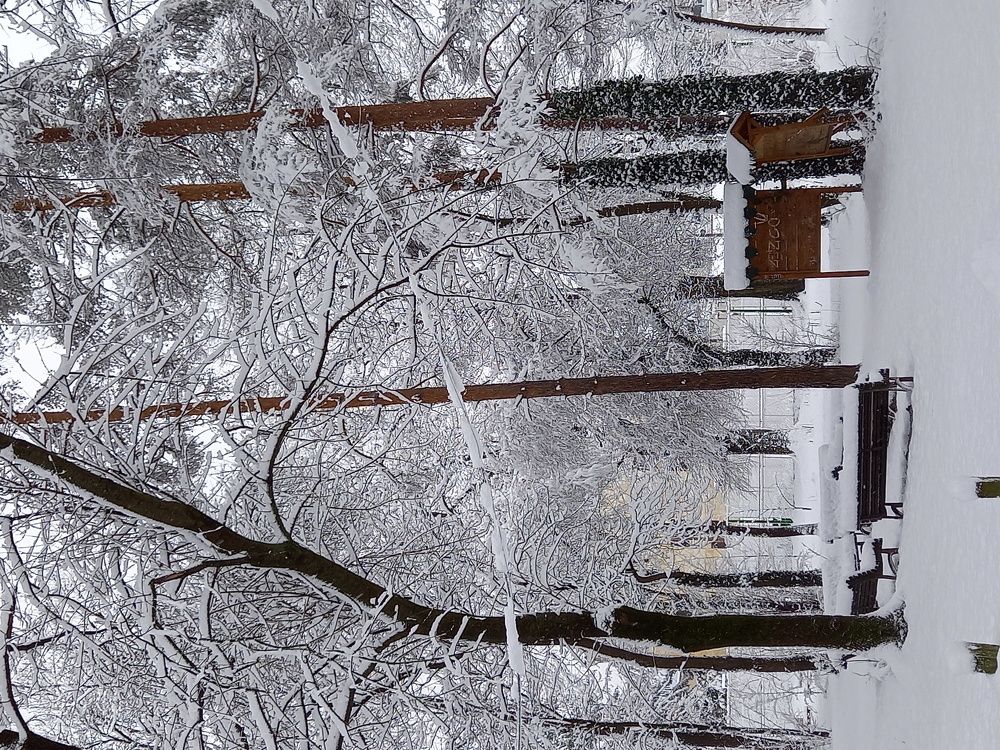 Photograph by Милена Андонова