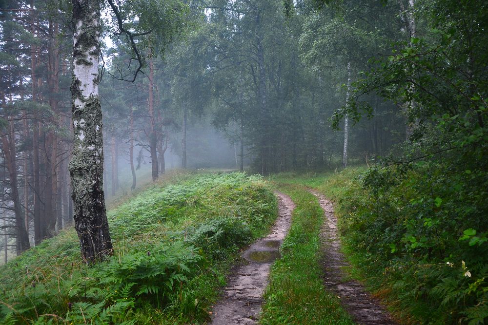 Photograph by Юлия Абрамова