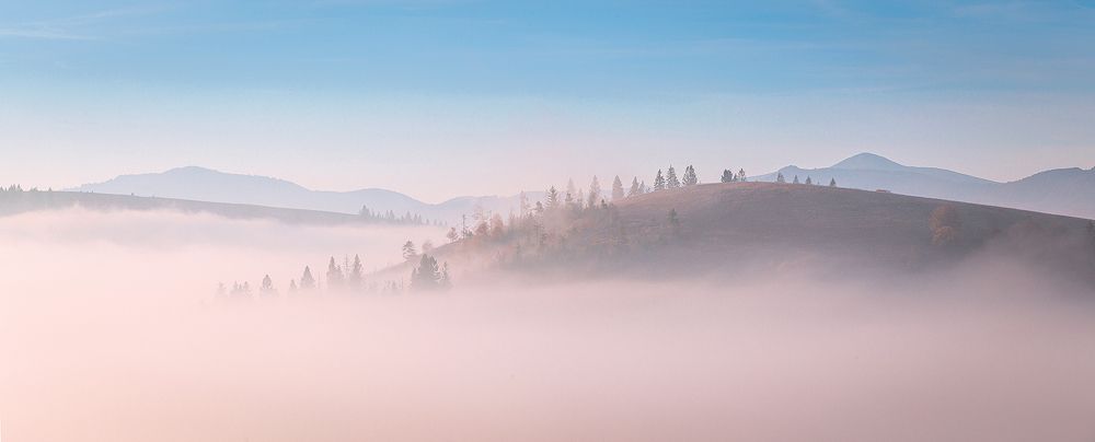 На трех китах.