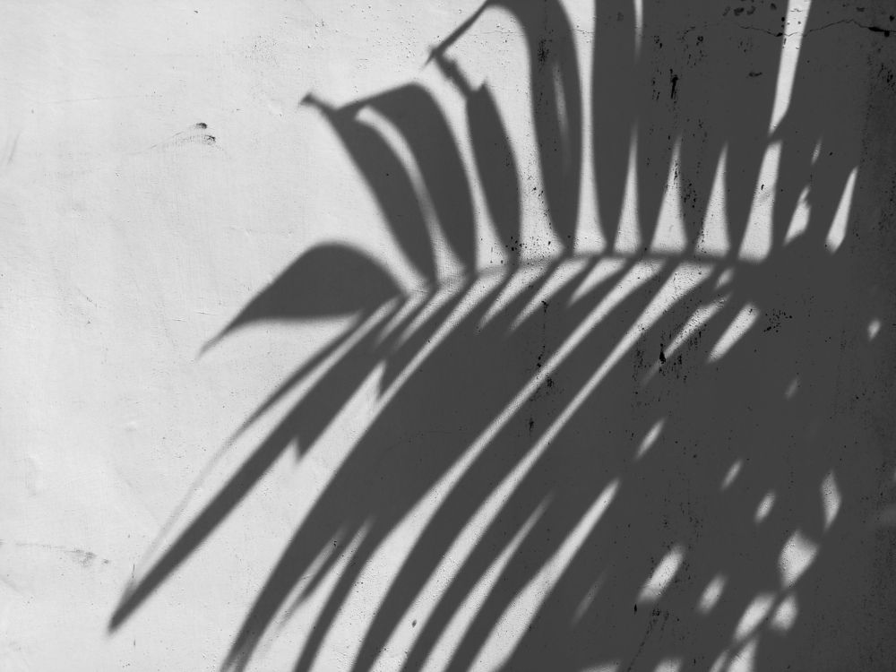 Photograph by Junard Pateño