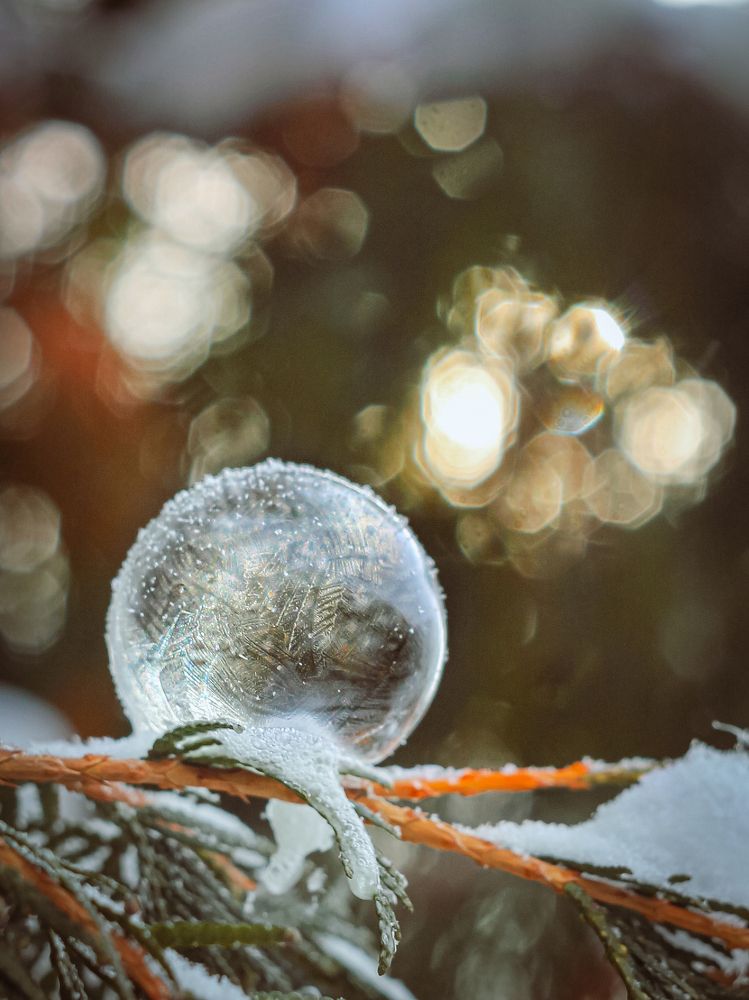 Photograph by Андрей Косяк