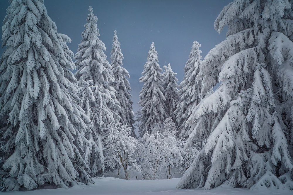 Photograph by Андрей Ожерельев