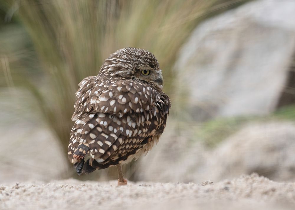 Фотография автора MARIA KULA