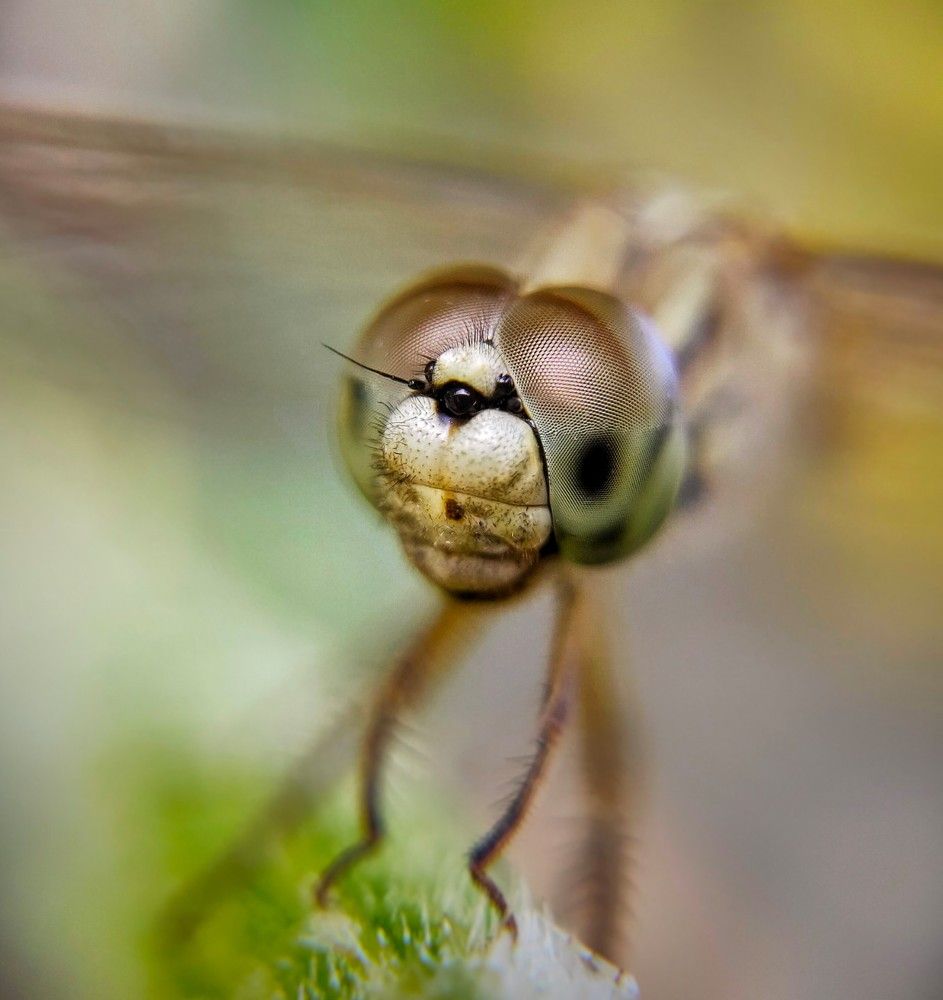 Photograph by ALI SAJID