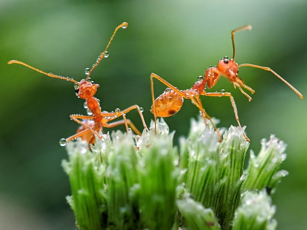 Photograph by Shipon Mostafa