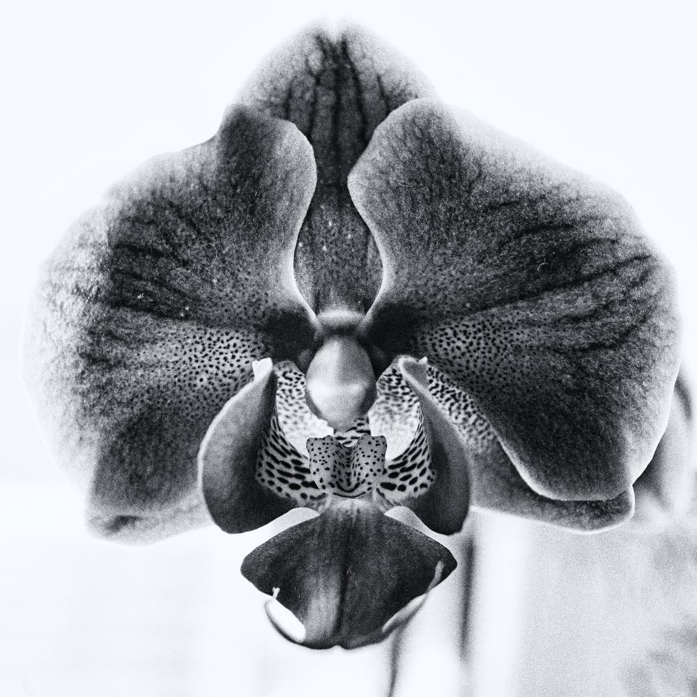 Photograph by Николай Марков