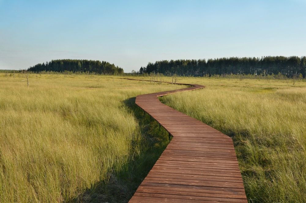 Photograph by Алексей Фомичев