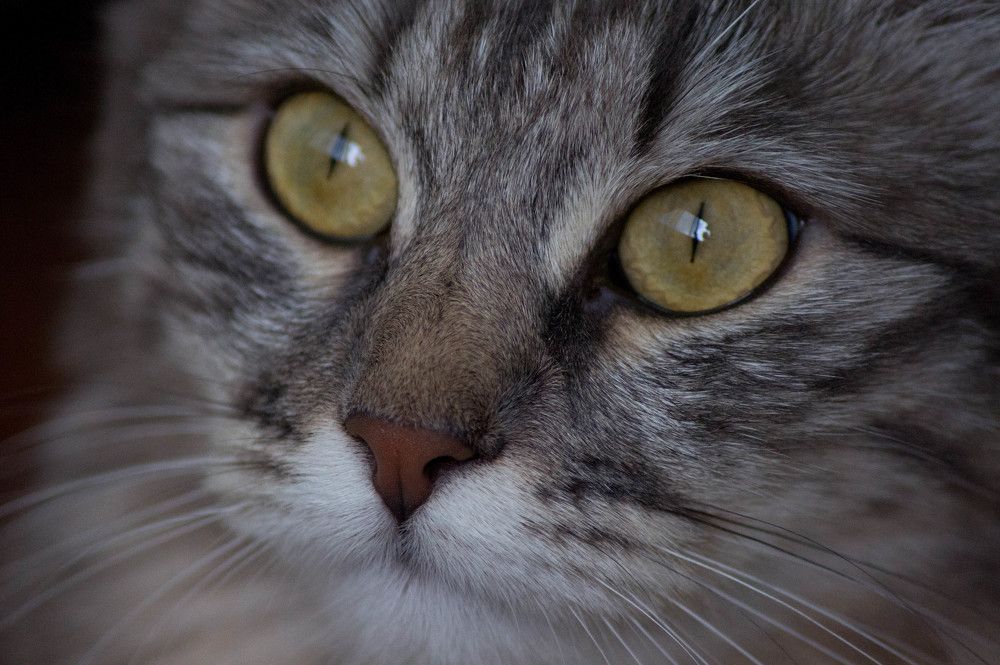 Photograph by Анастасия Кашенко