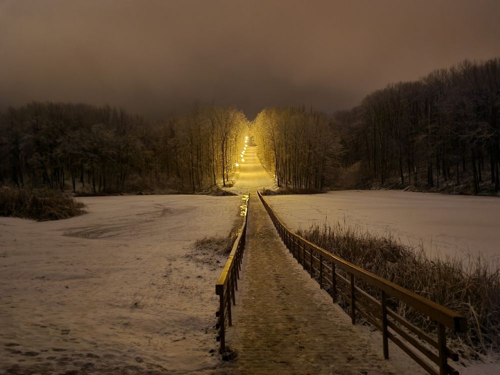 Photograph by Лариса