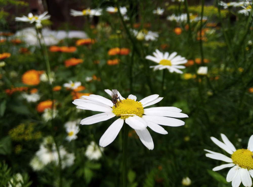 Photograph by Юлия Волобуева