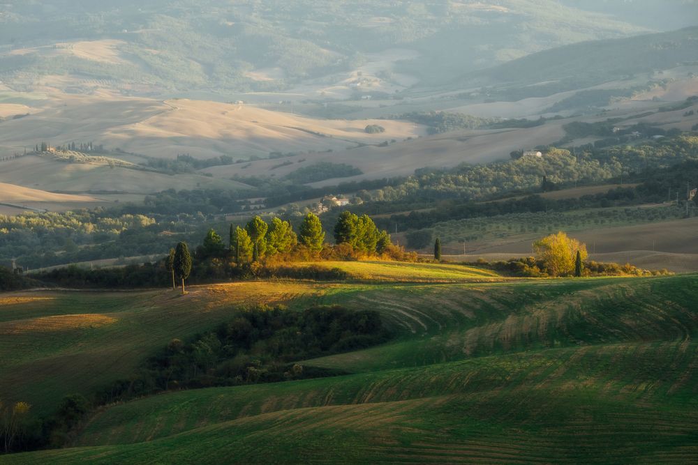 Photograph by Олег Гуляков