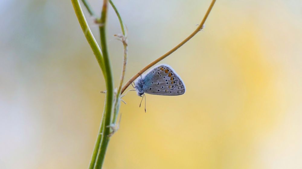 Photograph by ali bakhshi