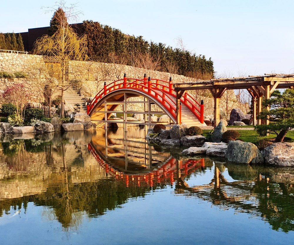 Японский сад.