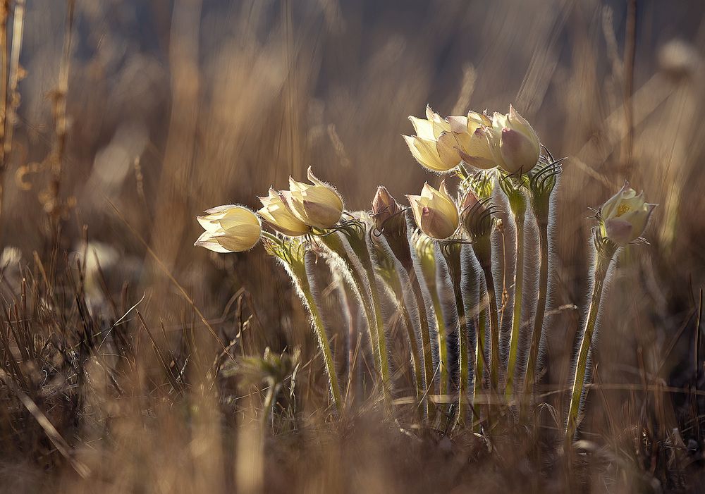 Photograph by ganzorig miimaa