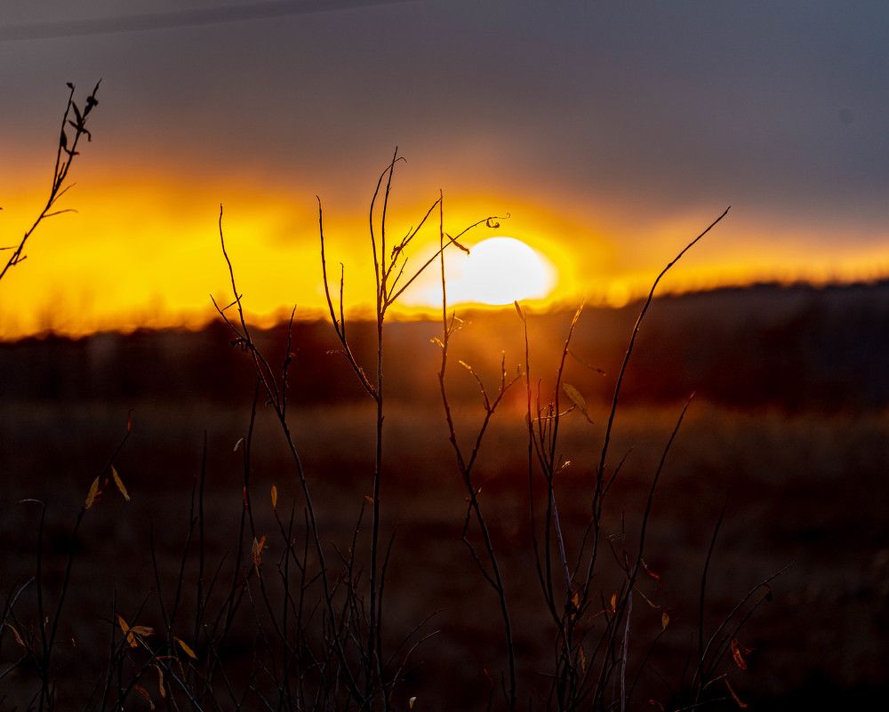 Photograph by Наталья Филатова