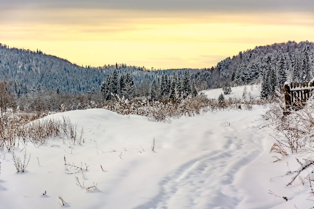 Photograph by Дементий Казанцев