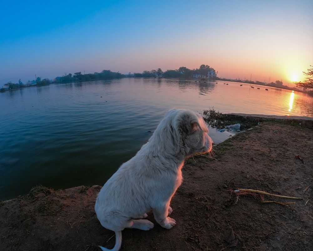 Photograph by Amit Singla