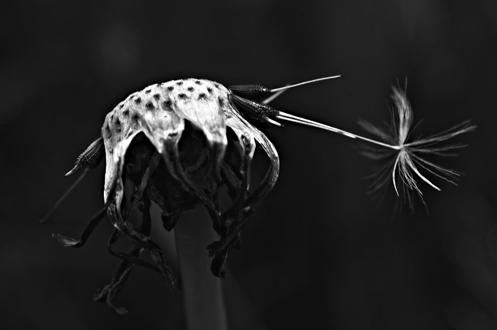 Photograph by Евгений Козлов