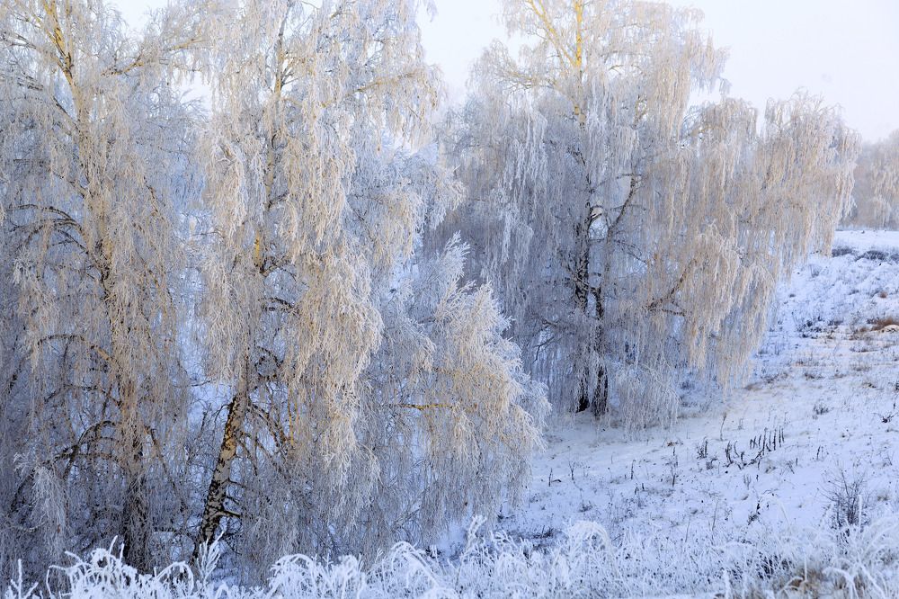 Фотография автора Рамиль Фаттахов