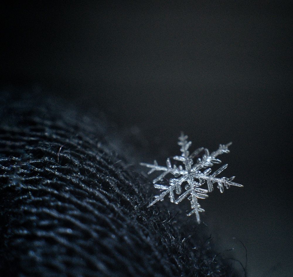 Photograph by Ирина Курицына