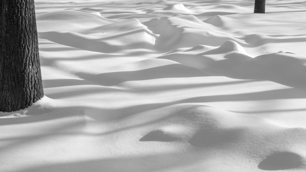 Photograph by Игорь Соя